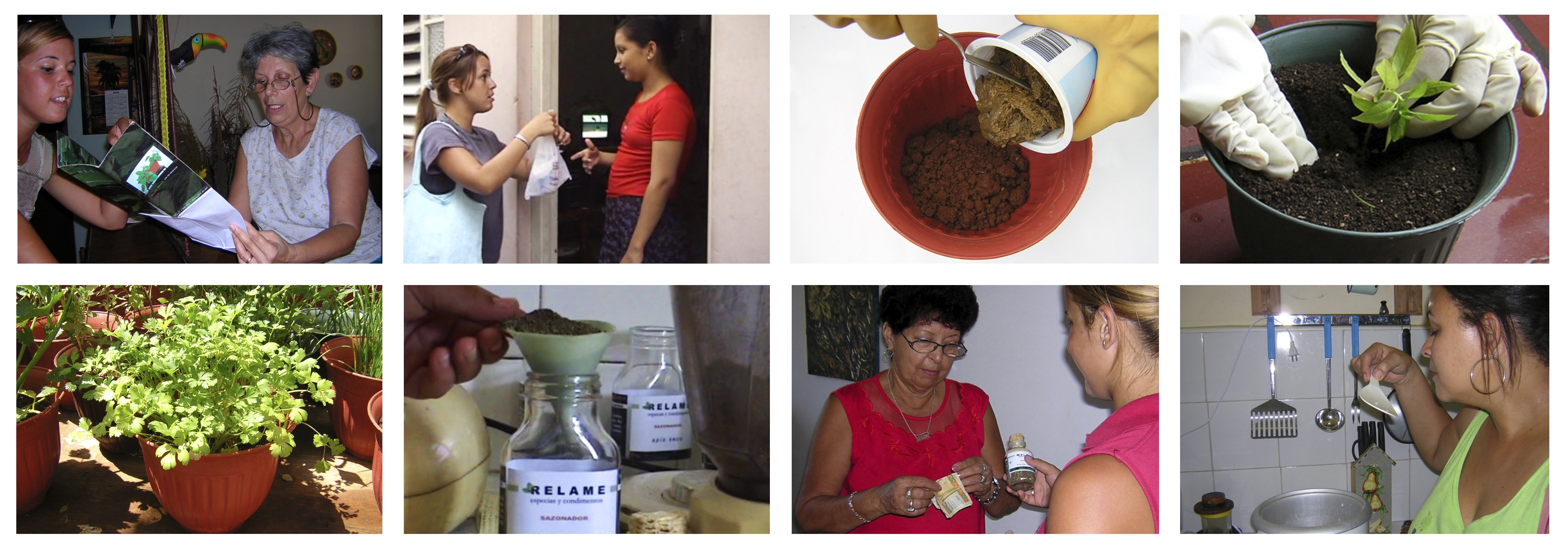 Con tu propio sabor, 2005,Grethell Rasúa (Imágenes cortesía de la artista)