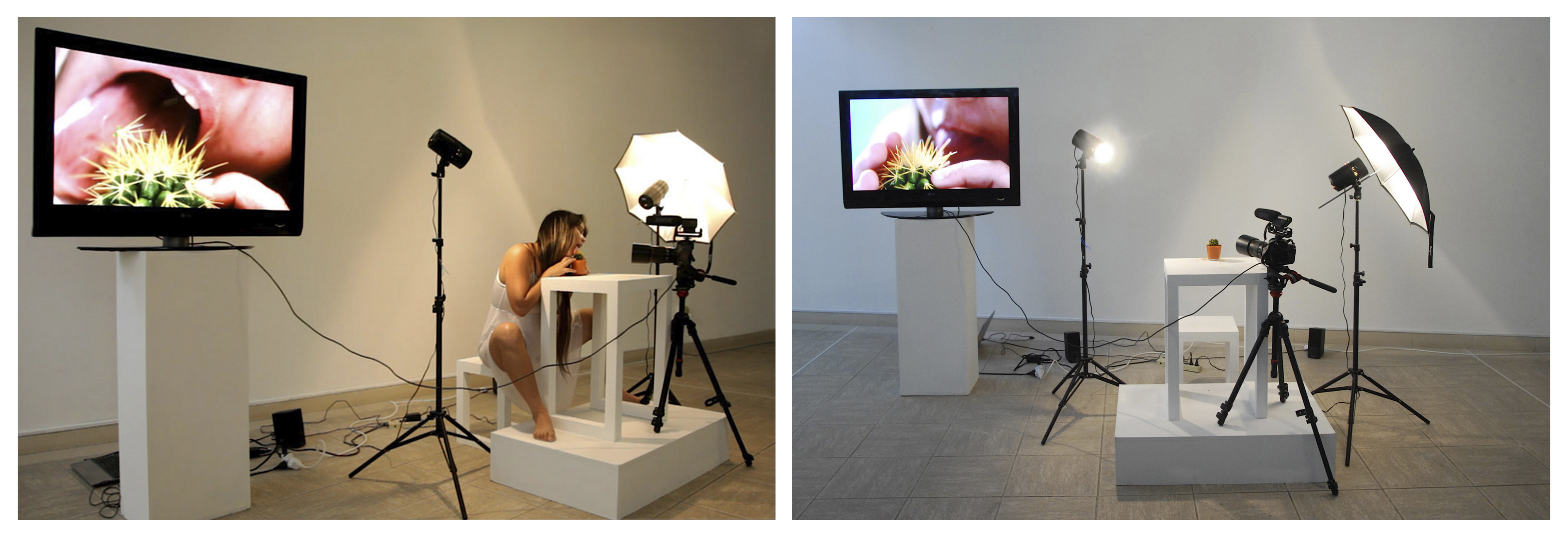 De la permanencia y otras necesidades performance:installation, 2013,2014,2015, Grethel Rasúa (Imágenes cortesía de la artista)